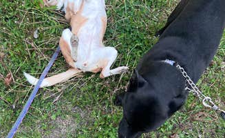 Cindy P.'s photo of camping with pets at Turkey Bayou Campground near Makanda, IL