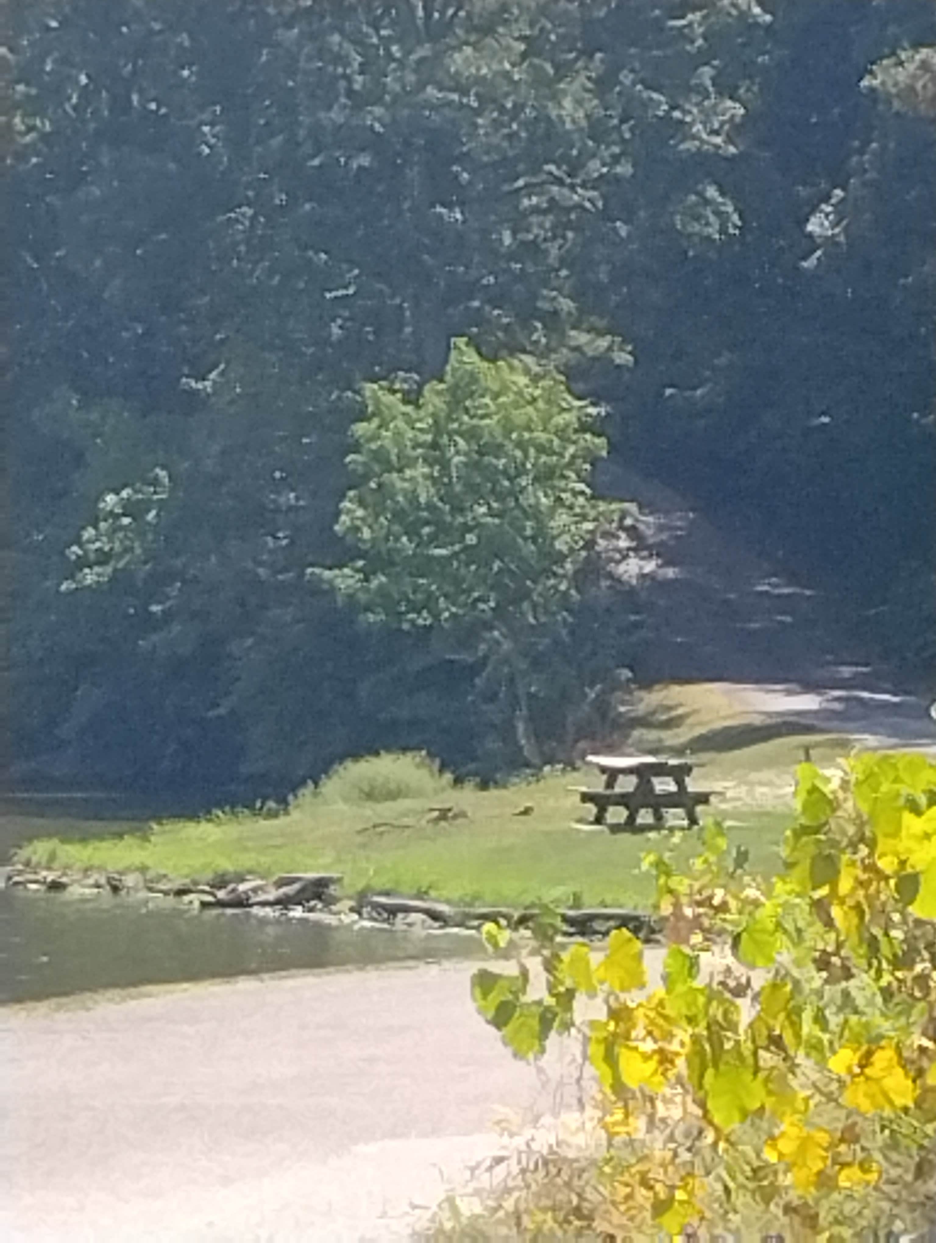 Camper-submitted photo at Waverly Lake City Park near Jacksonville, IL