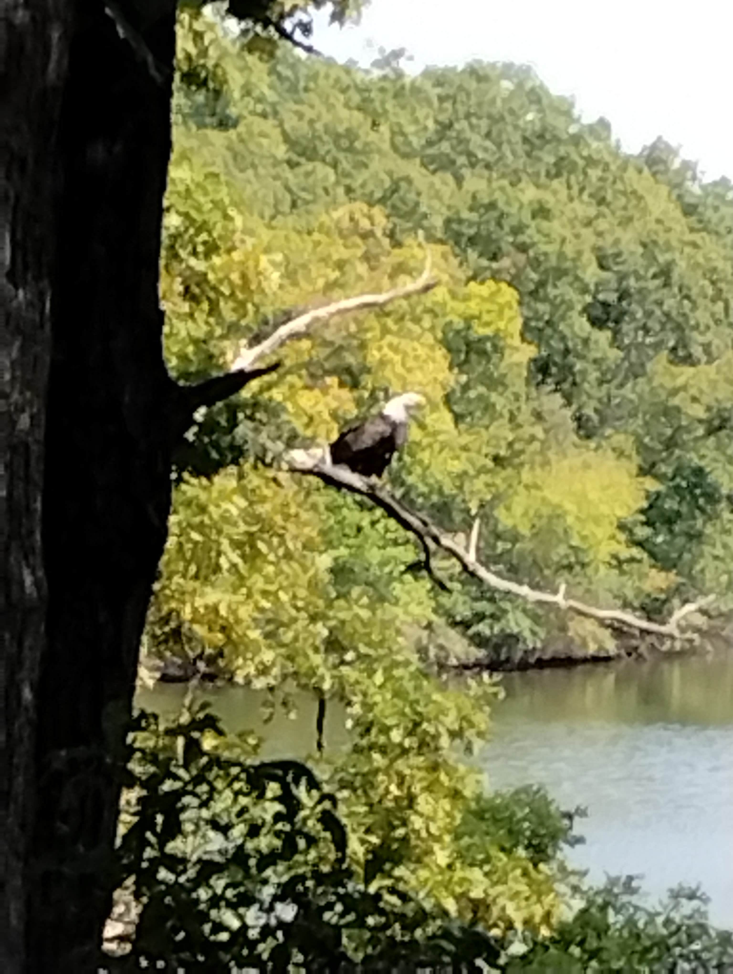 Camper-submitted photo at Waverly Lake City Park near Jacksonville, IL