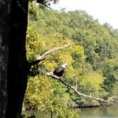 Review photo of Waverly Lake City Park by John H., September 12, 2024