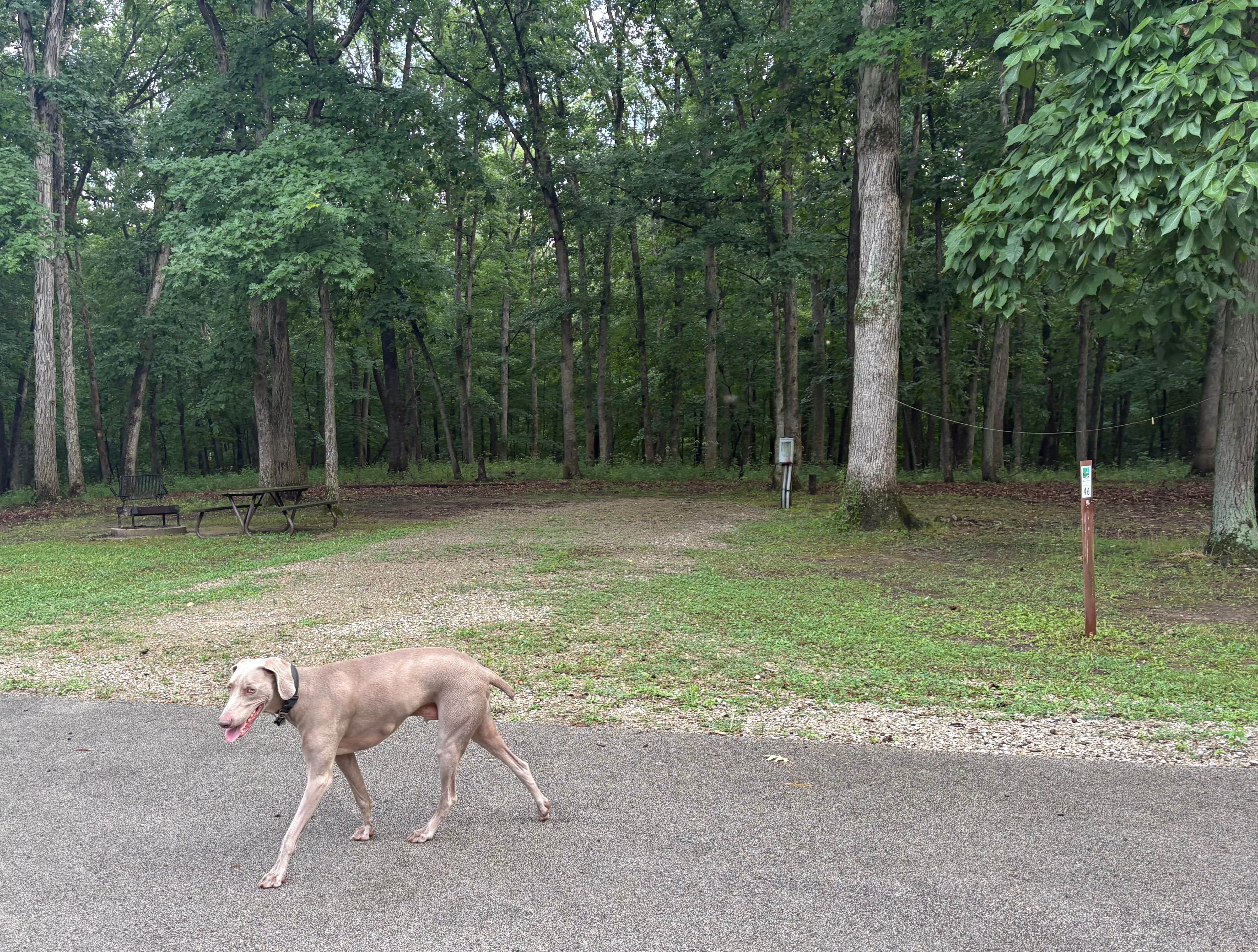 Camping near Lithia Springs: Wolf Creek State Park Campground, Findlay, Illinois