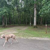 Review photo of Wolf Creek State Park Campground by Julie F., July 19, 2026