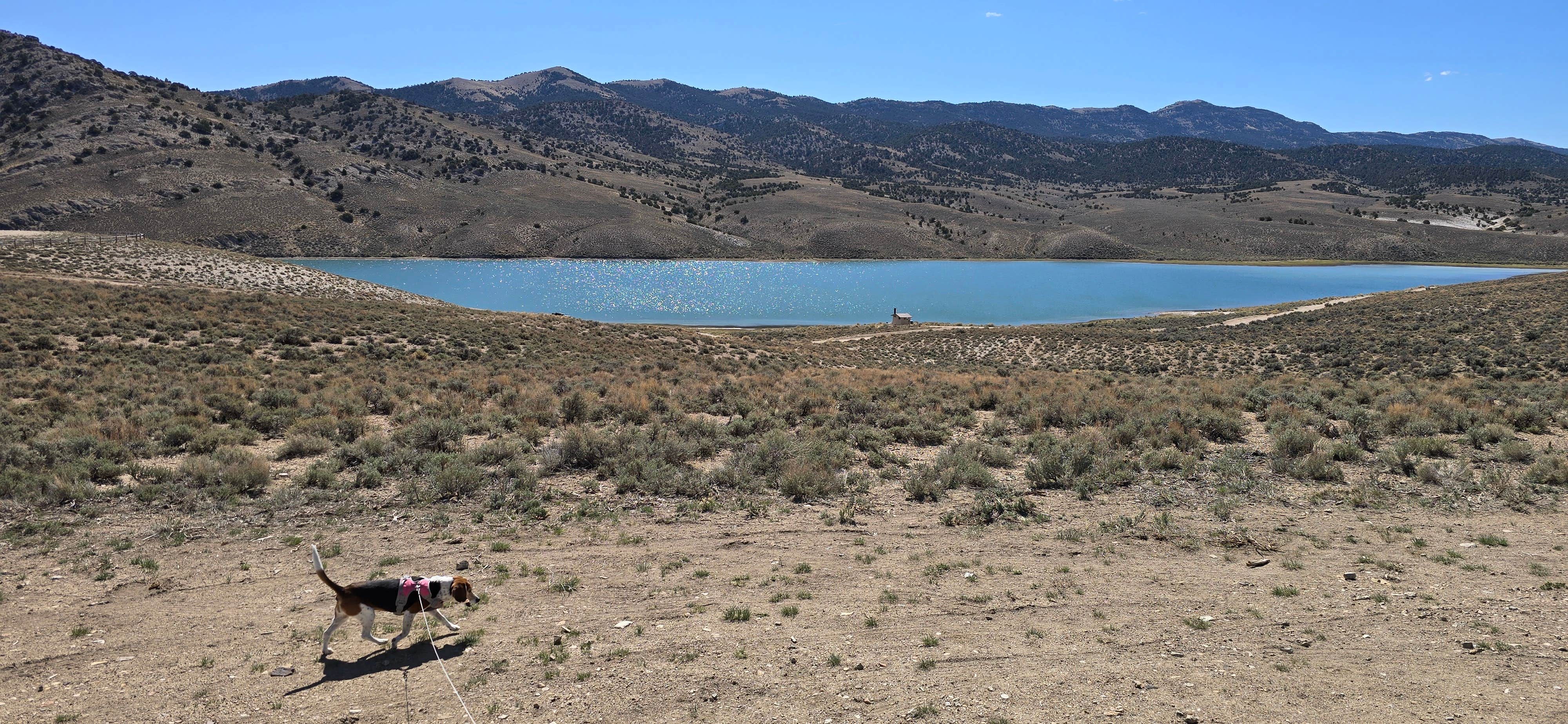 Camper-submitted photo at Illipah Reservoir Recreational Area near Duckwater, NV