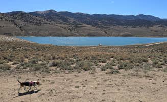 Jonathan M.'s photo of camping with pets at Illipah Reservoir Recreational Area near Humboldt-Toiyabe National Forest