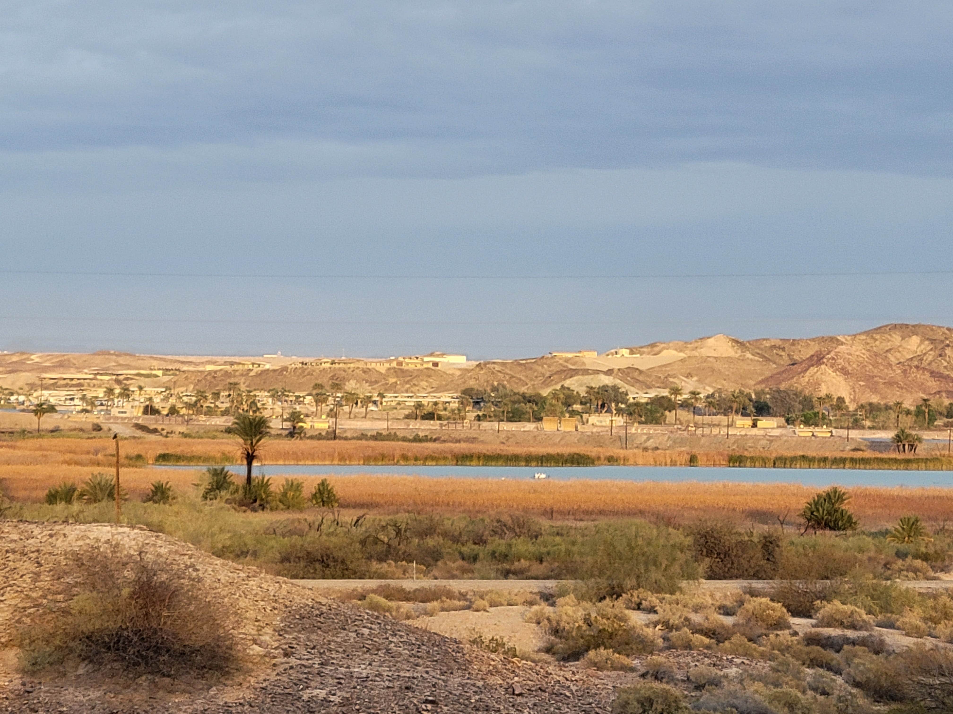 Camper submitted image from Imperial Dam Long Term Visitor Area - 2