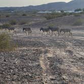 Review photo of Imperial Dam Long Term Visitor Area by Travis A., March 4, 2025