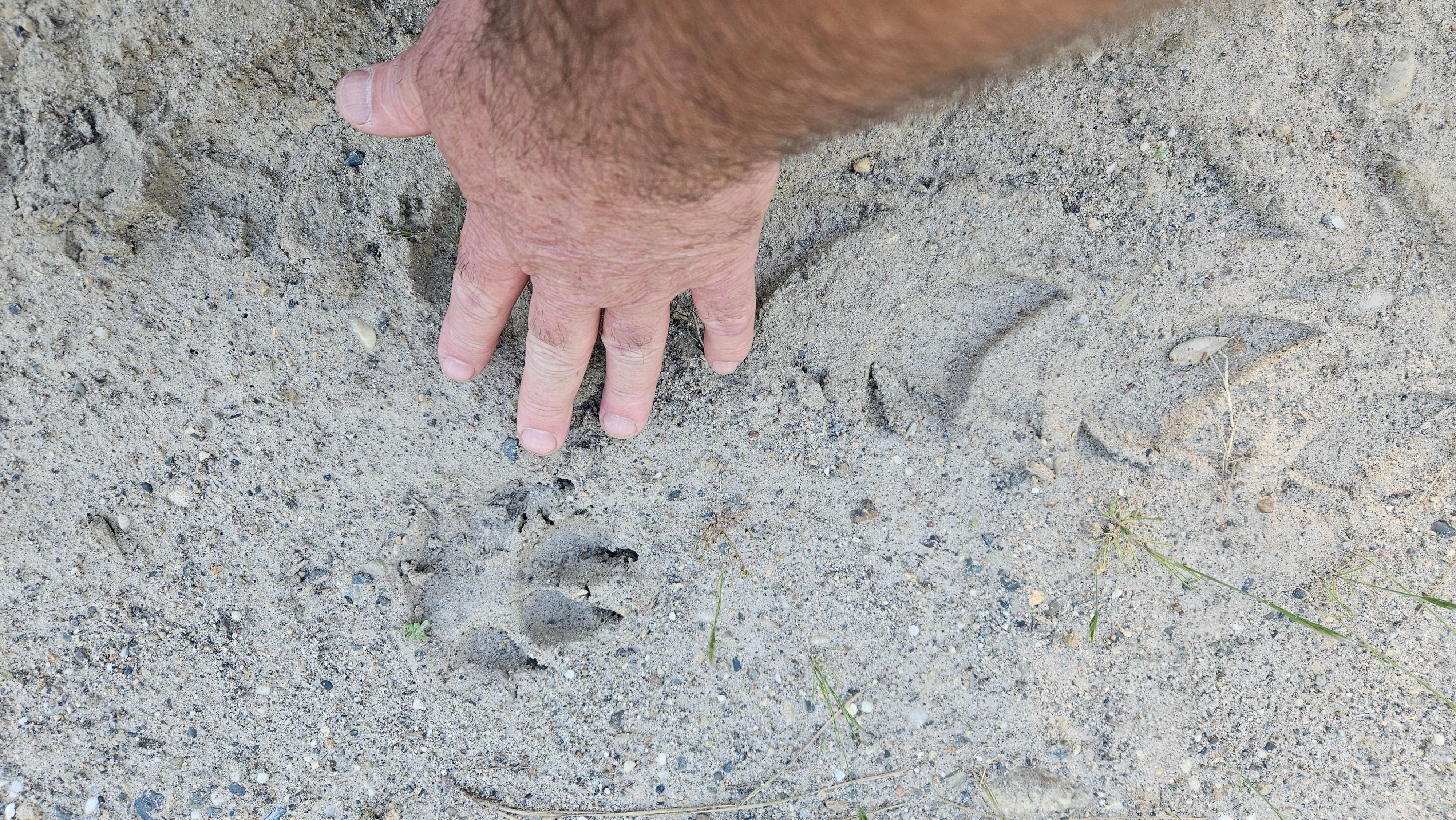 Camper-submitted photo at Independence Hill Dispersed near Rancho Cordova, CA
