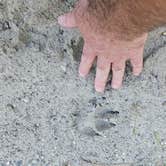 Review photo of Independence Hill Dispersed by Kevin C., October 15, 2025