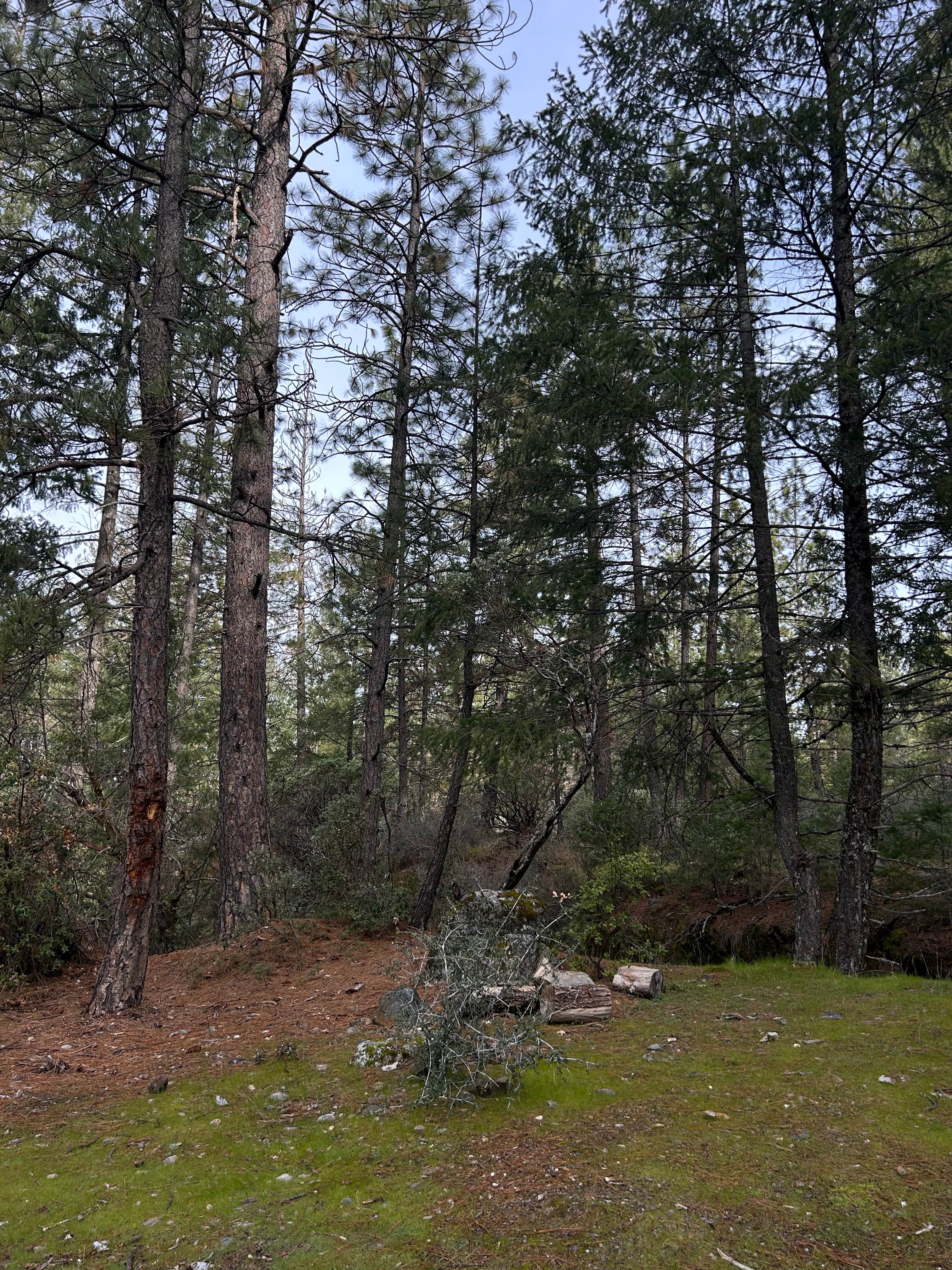 Camper-submitted photo at Independence Hill Dispersed near Rancho Cordova, CA