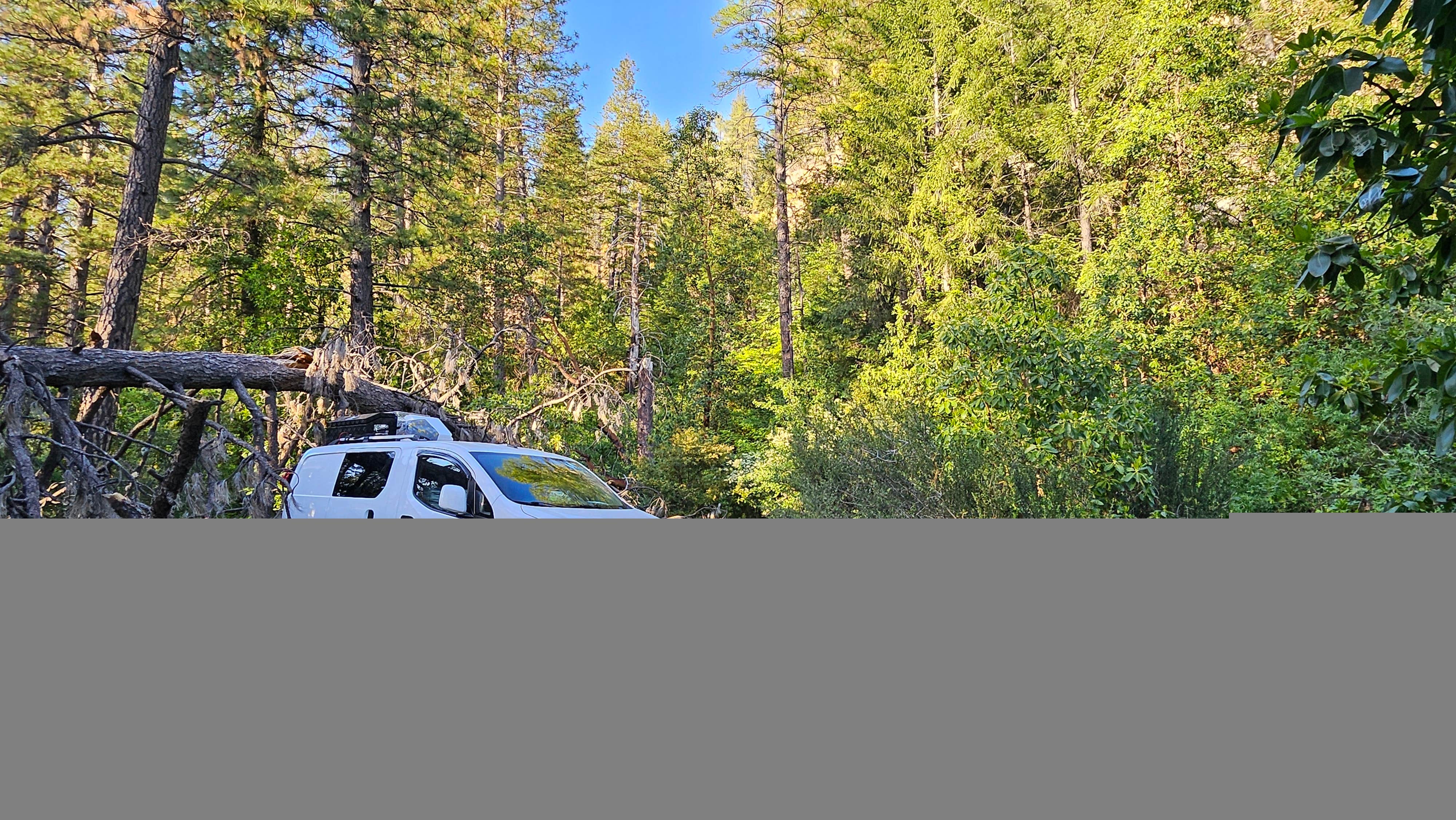 Camper-submitted photo at Independence Hill Dispersed near Rancho Cordova, CA