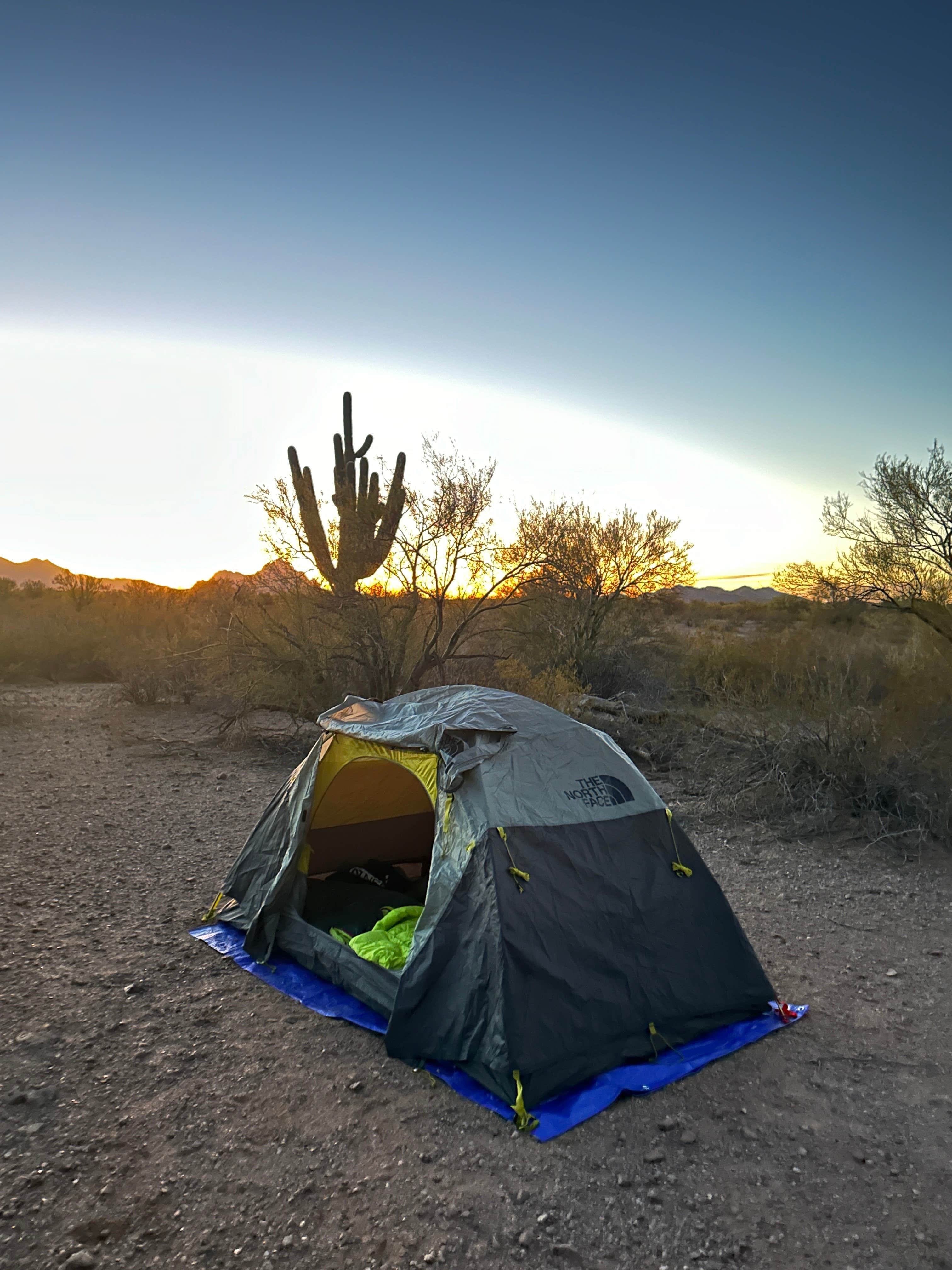 cheryl's photo of tent camping at Happy Camp Trail near Cochise, AZ