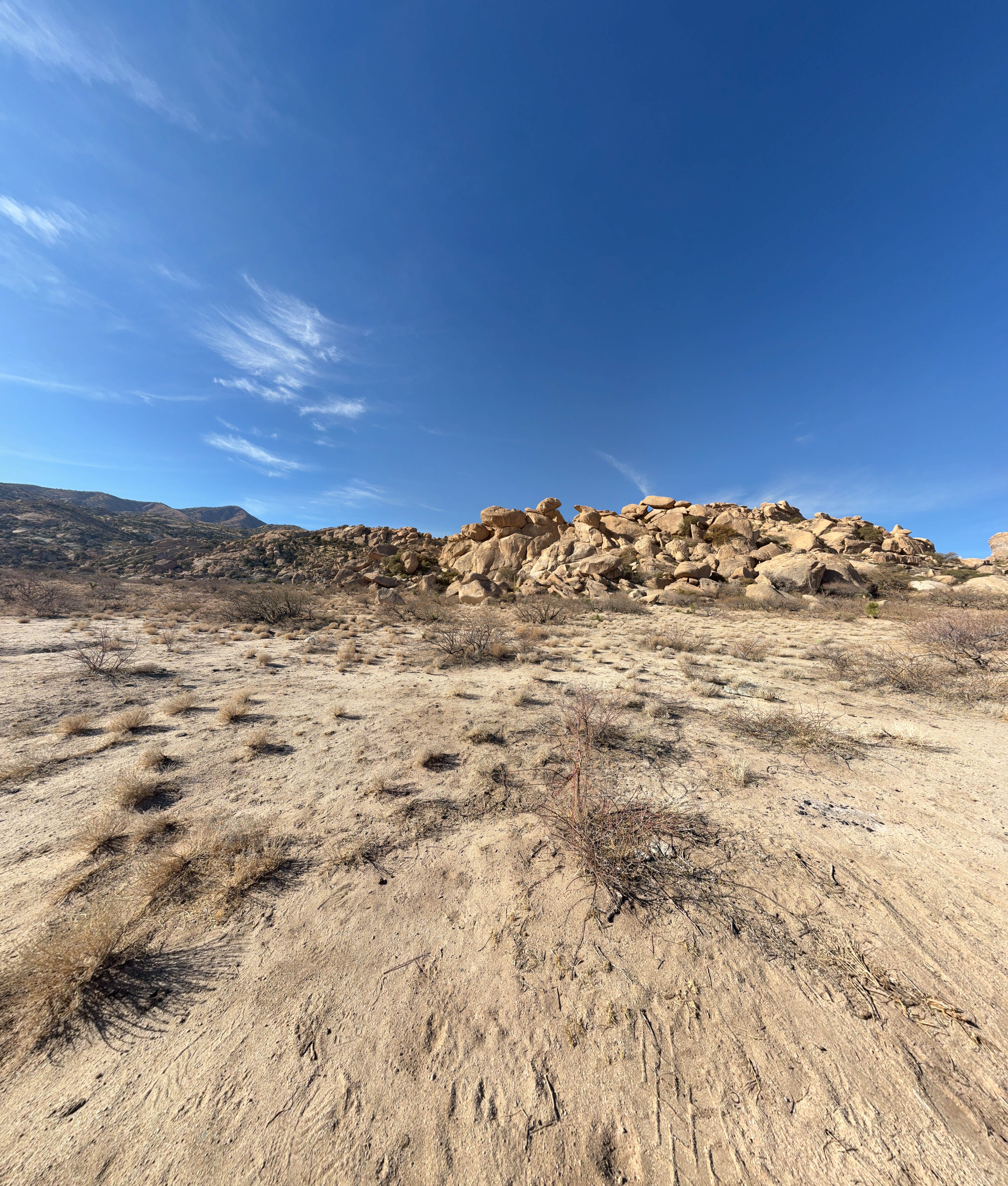 Camper submitted image from Indian Bread Rocks - 2