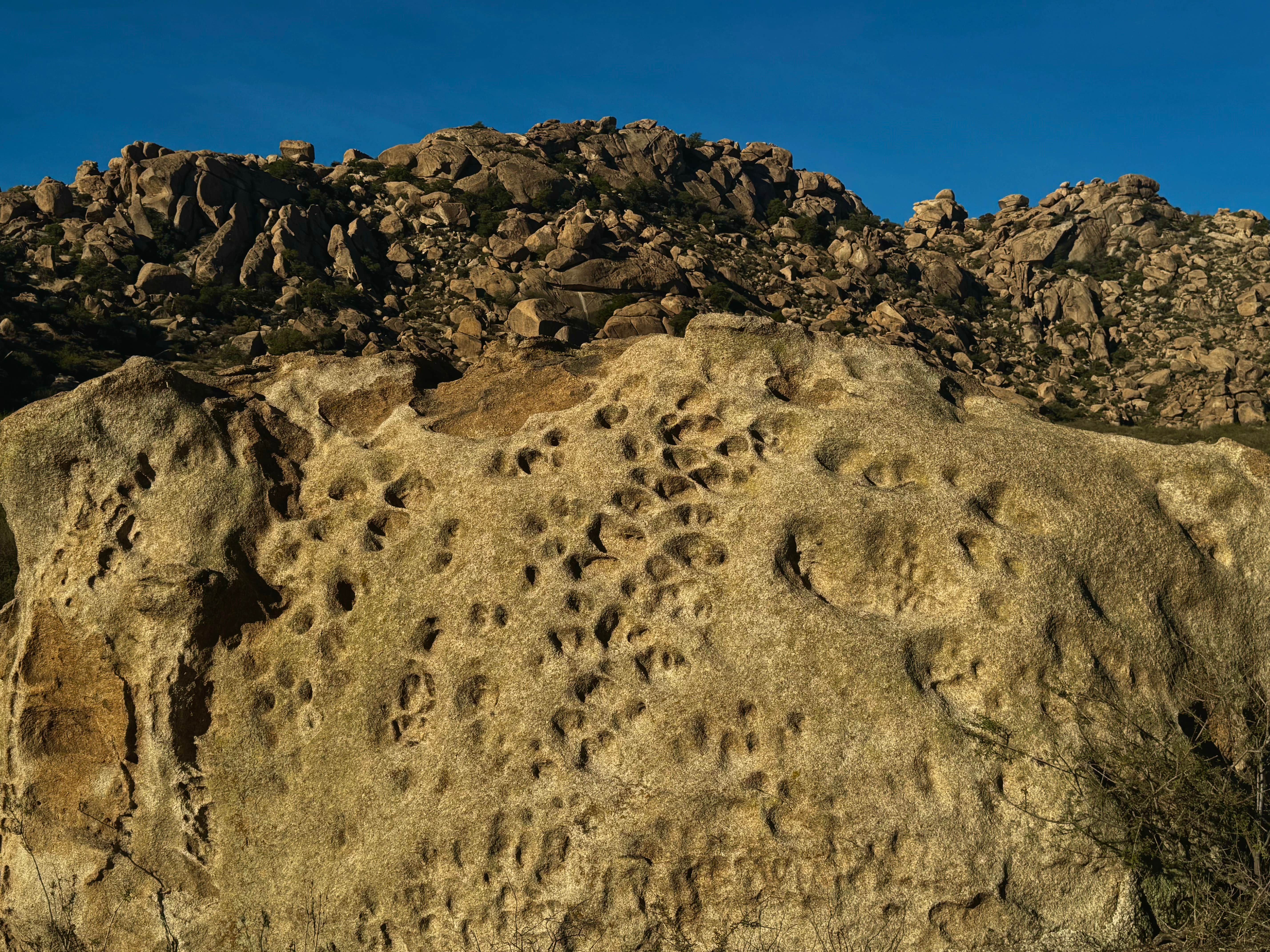 Camper-submitted photo at Indian Bread Rocks near Willcox, AZ