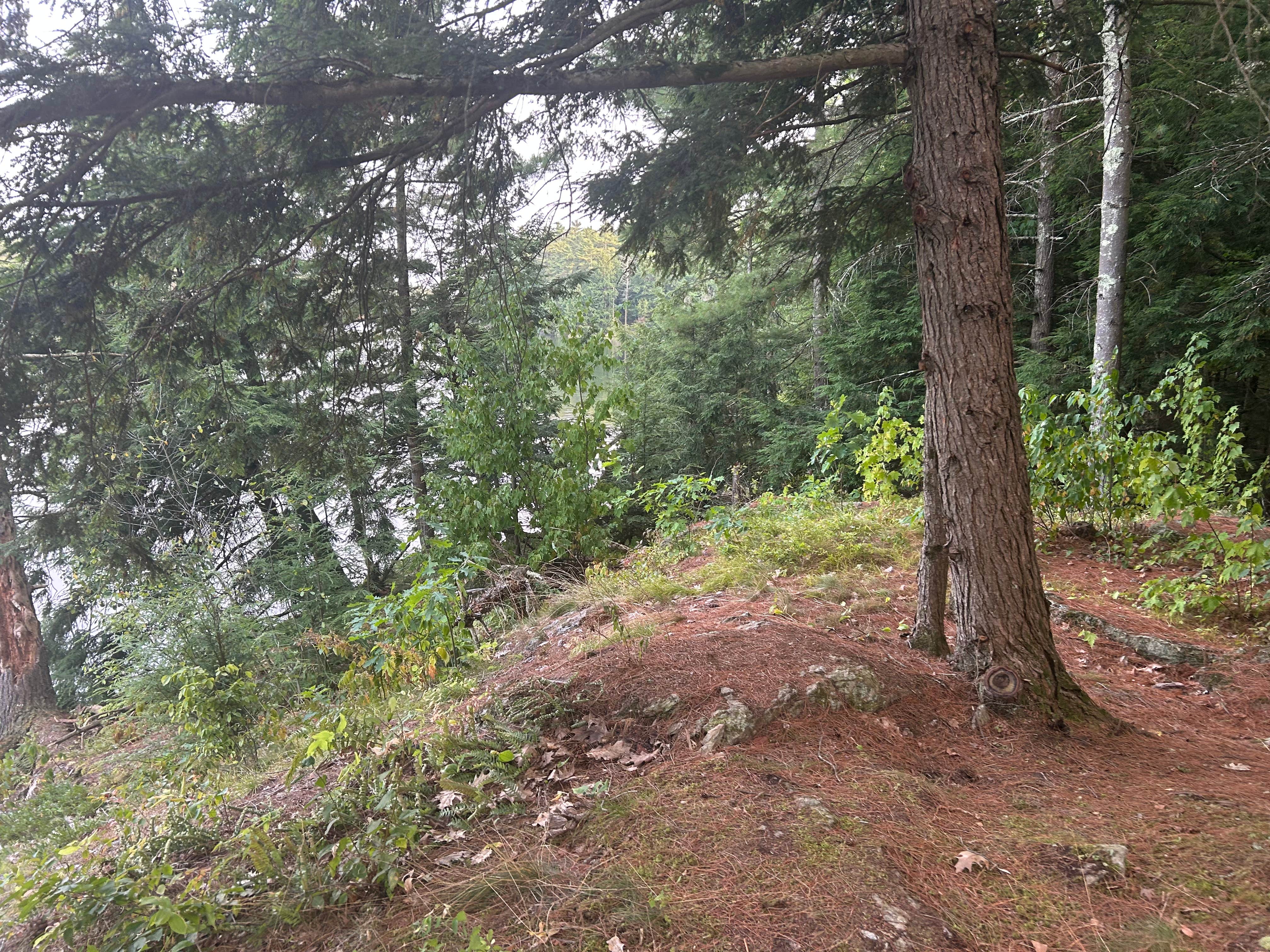 Camper-submitted photo at Indian Brook Reservoir near Eden Mills, VT