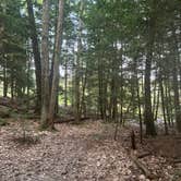 Review photo of Indian Brook Reservoir by Erin B., August 7, 2025