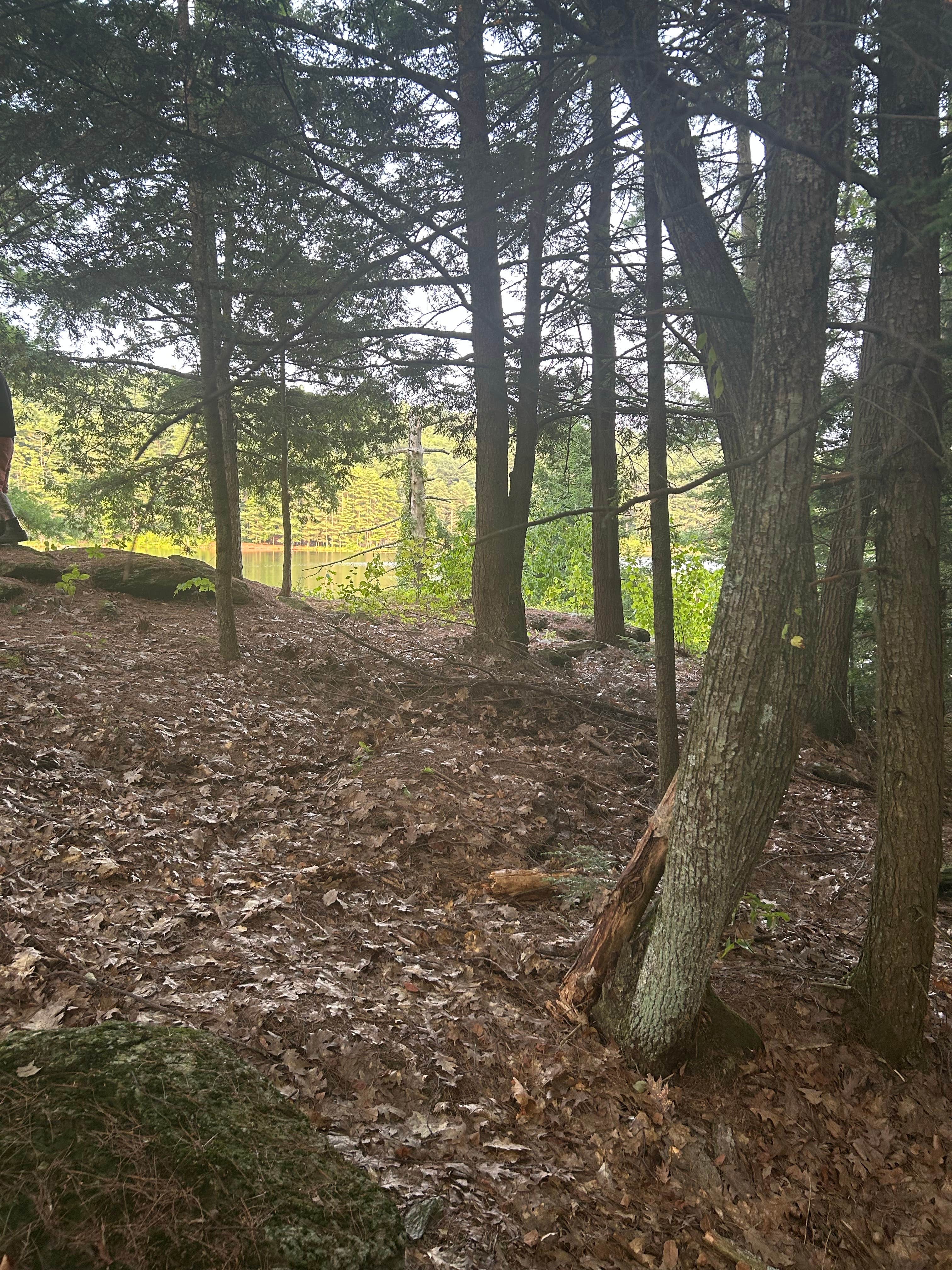Camper-submitted photo at Indian Brook Reservoir near Eden Mills, VT