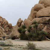 Review photo of Indian Cove Campground — Joshua Tree National Park by Kandi R., November 17, 2024