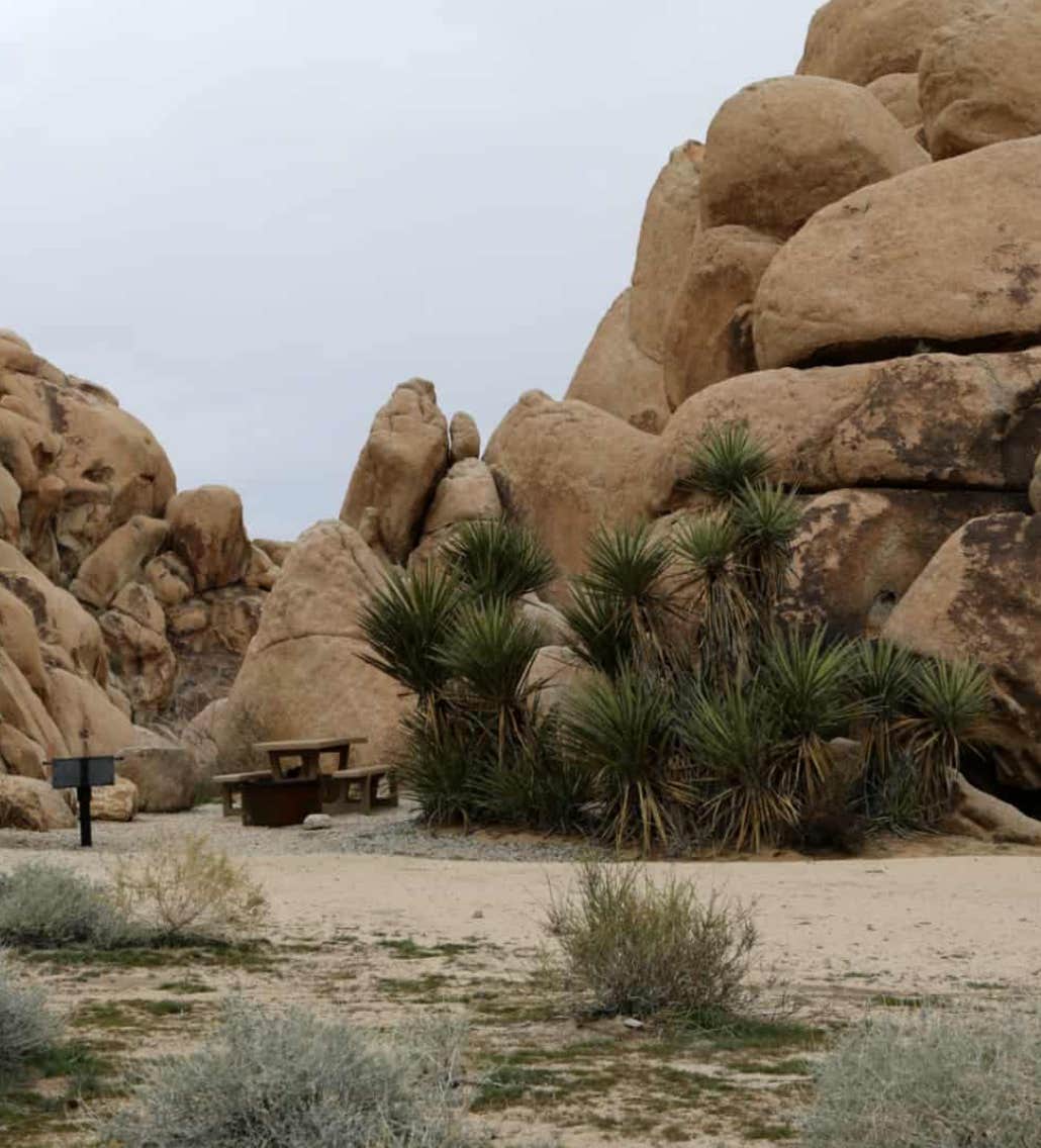 Camper submitted image from Indian Cove Campground — Joshua Tree National Park - 3