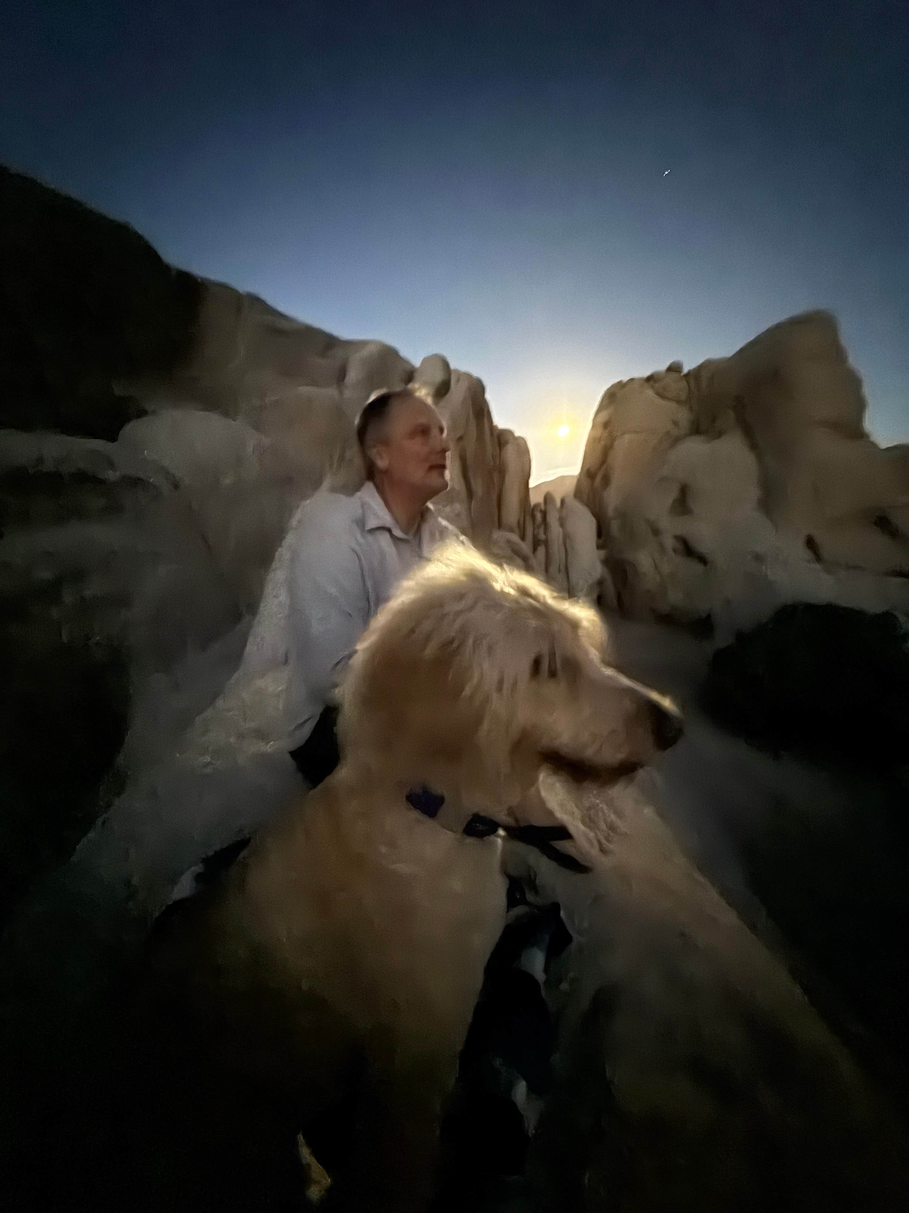 Rachele V.'s photo of camping with pets at Indian Cove Campground — Joshua Tree National Park near Twentynine Palms, CA