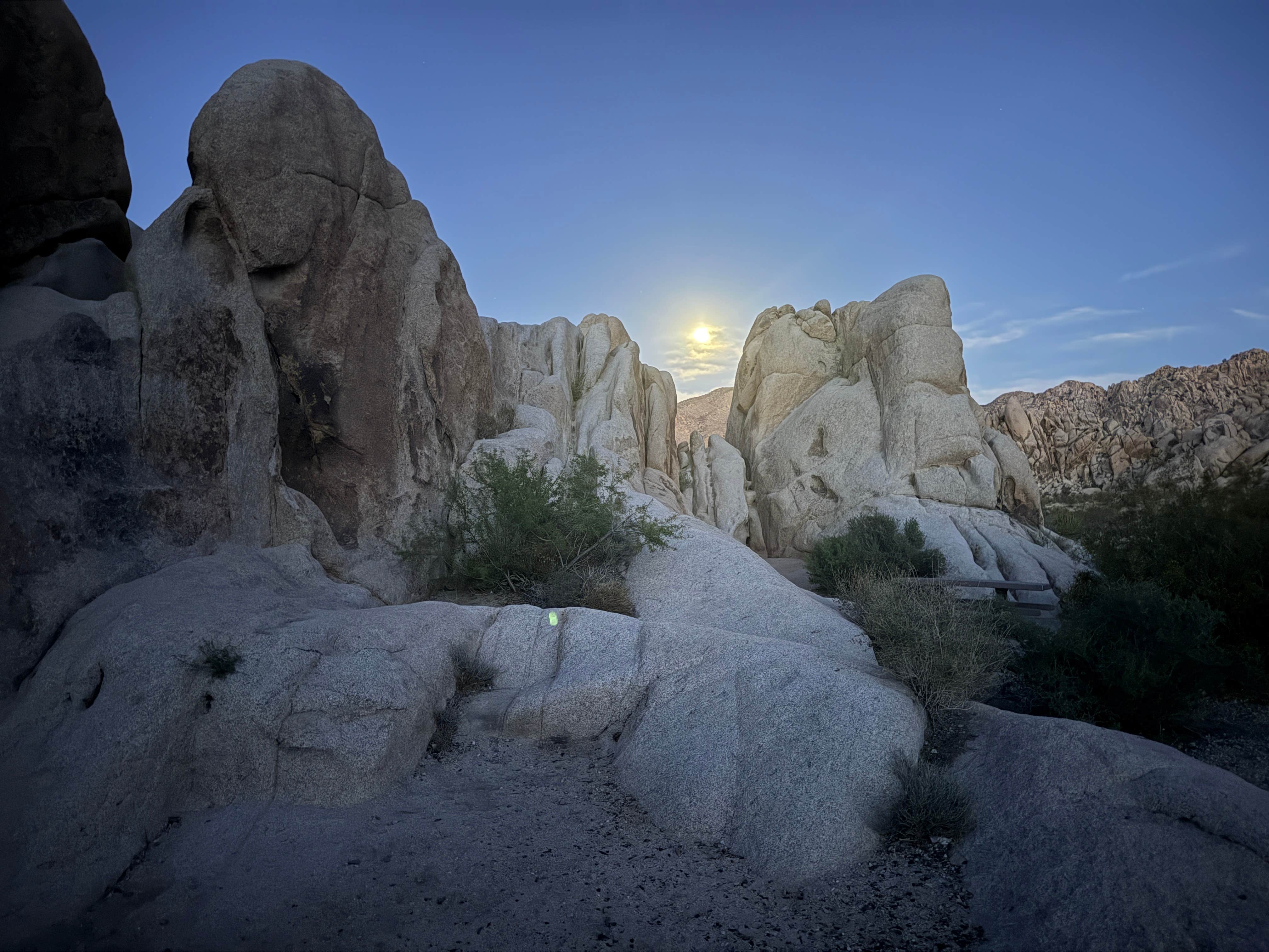 Camper submitted image from Indian Cove Campground — Joshua Tree National Park - 1