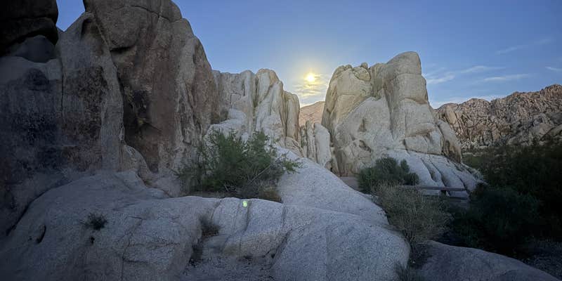 Camper submitted image from Indian Cove Campground — Joshua Tree National Park