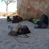 Review photo of Indian Cove Campground — Joshua Tree National Park by Amanda K., July 14, 2025