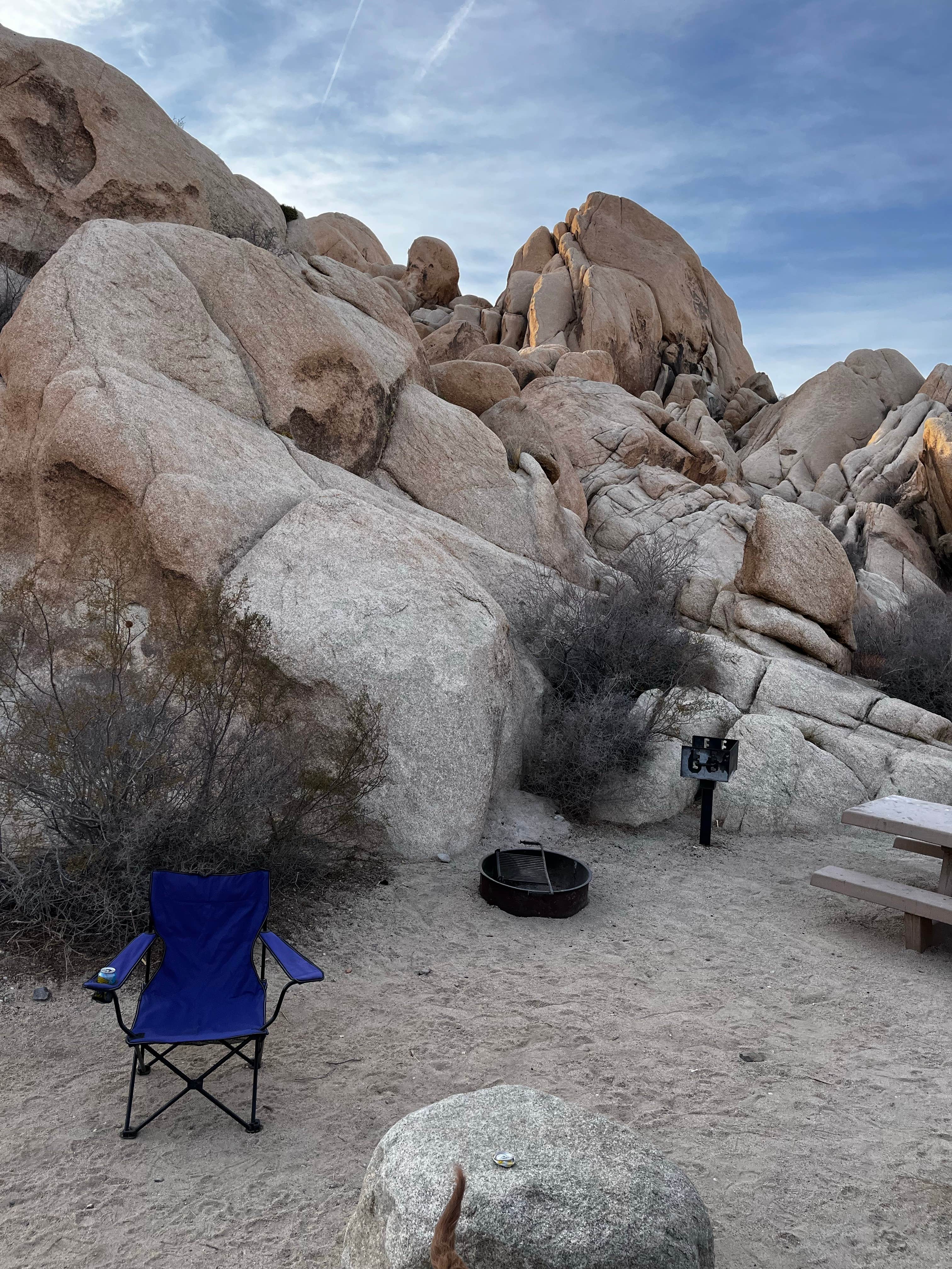 Susan N.'s photo at Indian Cove Campground — Joshua Tree National Park near Twentynine Palms, CA