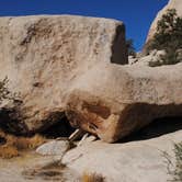 Review photo of Indian Cove Campground — Joshua Tree National Park by Amanda K., July 14, 2025