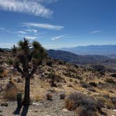 Review photo of Indian Cove Campground — Joshua Tree National Park by Kandi R., November 17, 2024