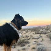 Review photo of Indian Cove Campground — Joshua Tree National Park by Anna R., October 30, 2025