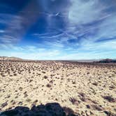 Review photo of Indian Cove Campground — Joshua Tree National Park by Kara S., November 8, 2024