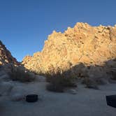 Review photo of Indian Cove Campground — Joshua Tree National Park by Sabrina V., December 12, 2025