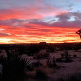 Review photo of Indian Cove Campground — Joshua Tree National Park by Gary H., January 5, 2025