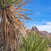 Review photo of Indian Cove Campground — Joshua Tree National Park by Leonard H., March 3, 2026