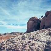 Review photo of Indian Cove Campground — Joshua Tree National Park by Kara S., November 8, 2024