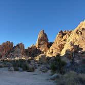 Review photo of Indian Cove Campground — Joshua Tree National Park by Sabrina V., December 12, 2025