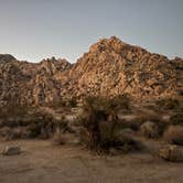 Review photo of Indian Cove Campground — Joshua Tree National Park by Sabrina V., December 12, 2025