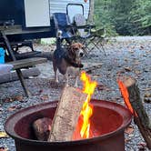 Review photo of Indian Creek Campground by Isabelle C., September 19, 2025