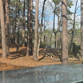 Review photo of Indian Creek Campground by ks K., February 16, 2026