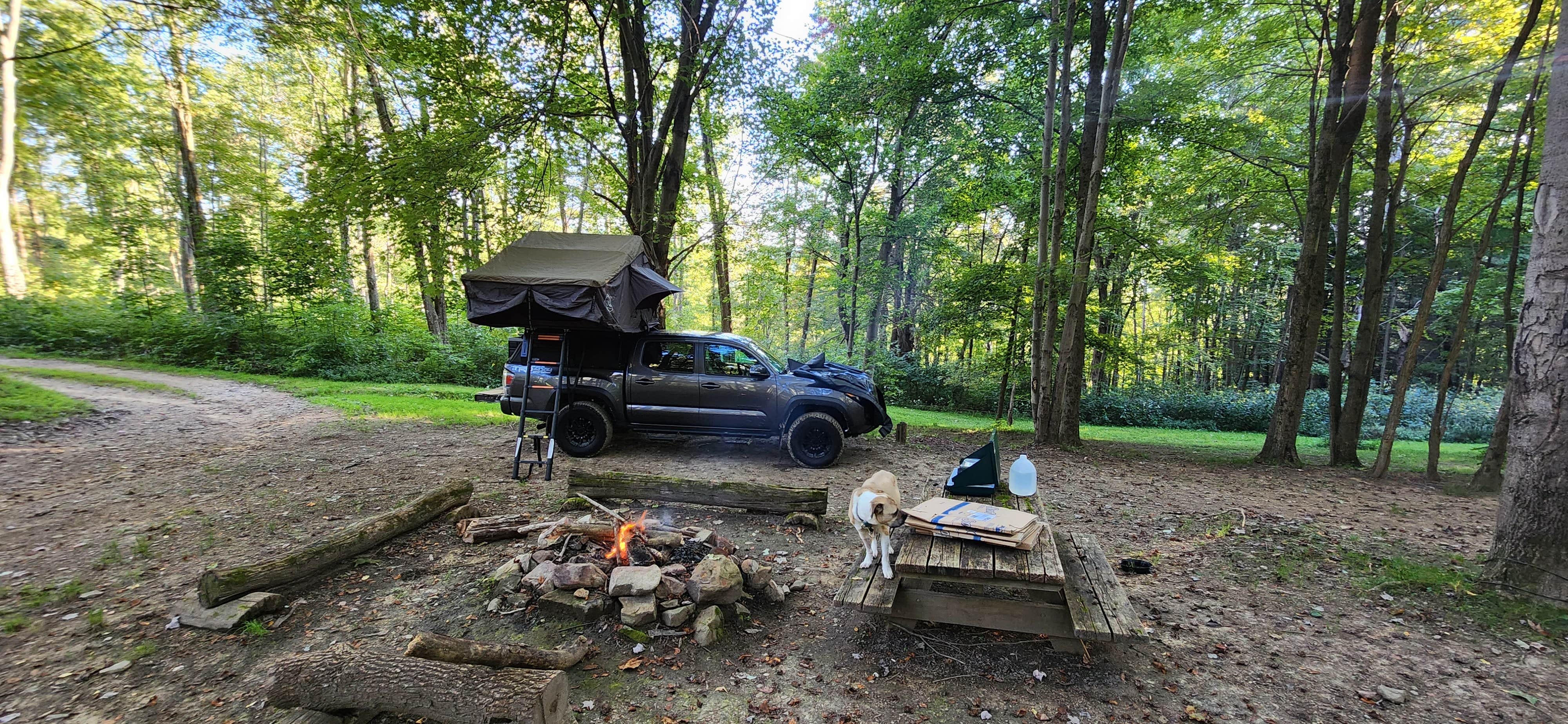 Christopher M.'s photo of tent camping at Indian Creek Camplands Inc near Glenshaw, PA
