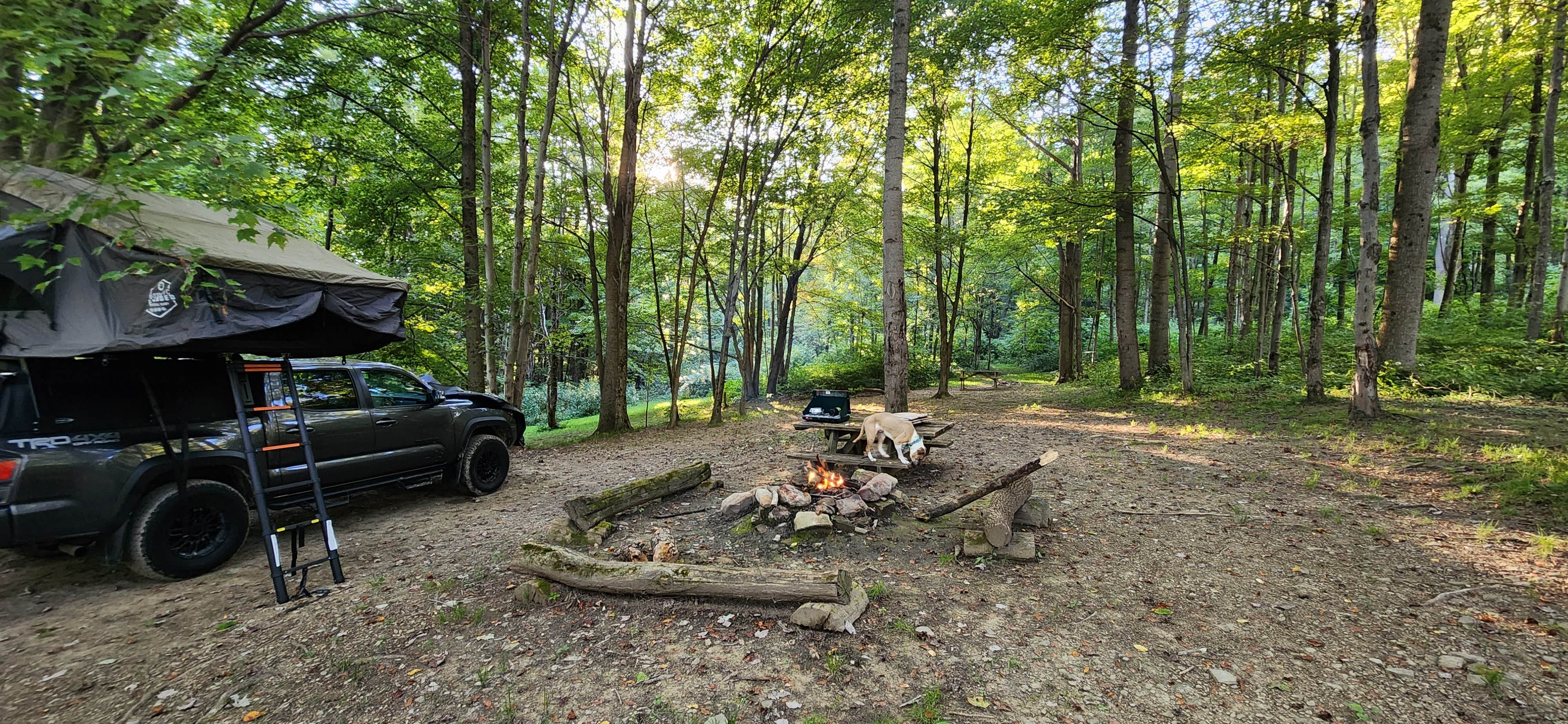 Camper-submitted photo at Indian Creek Camplands Inc near Glenshaw, PA