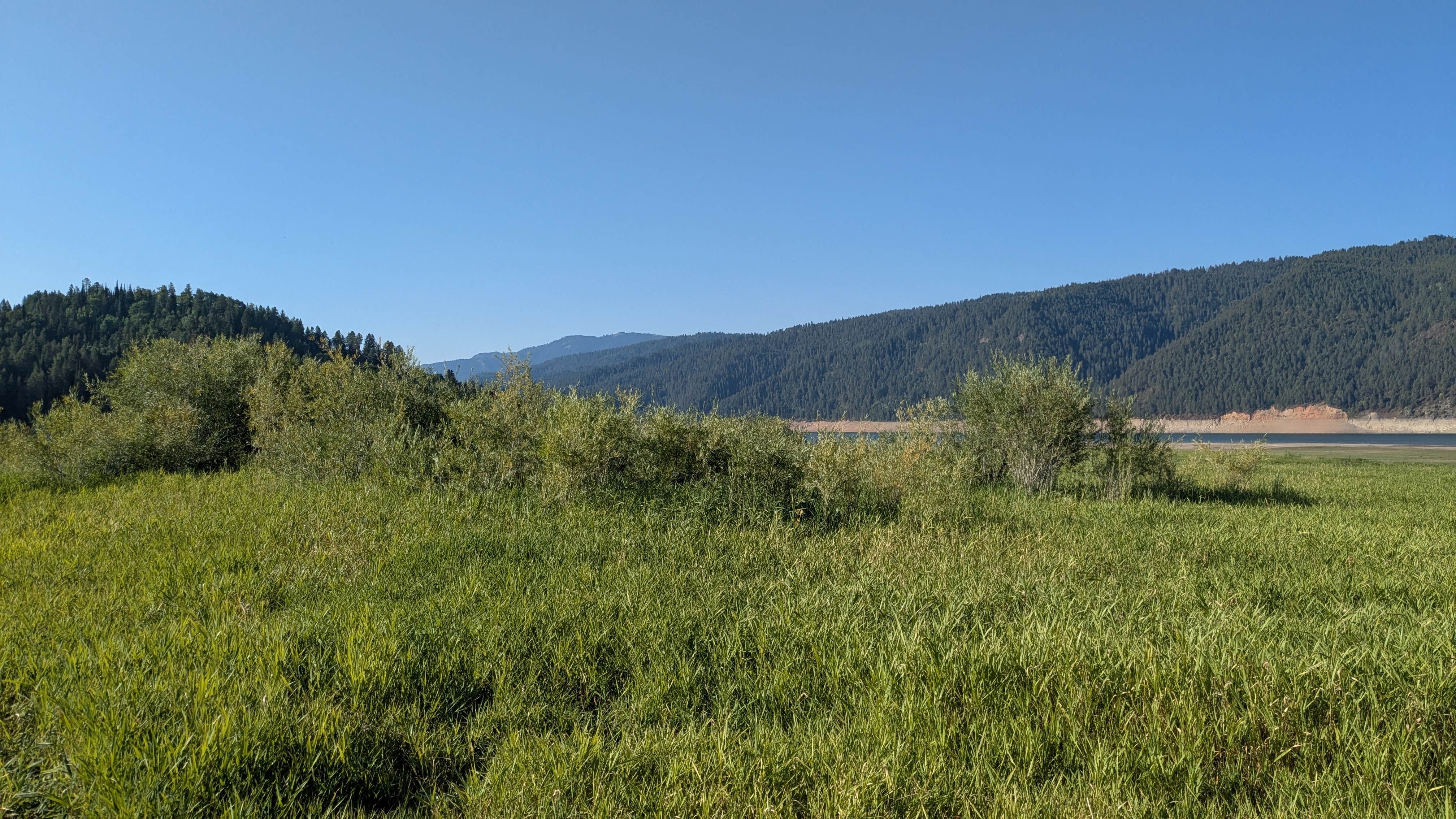 Camper-submitted photo at Indian Creek near Alpine, WY