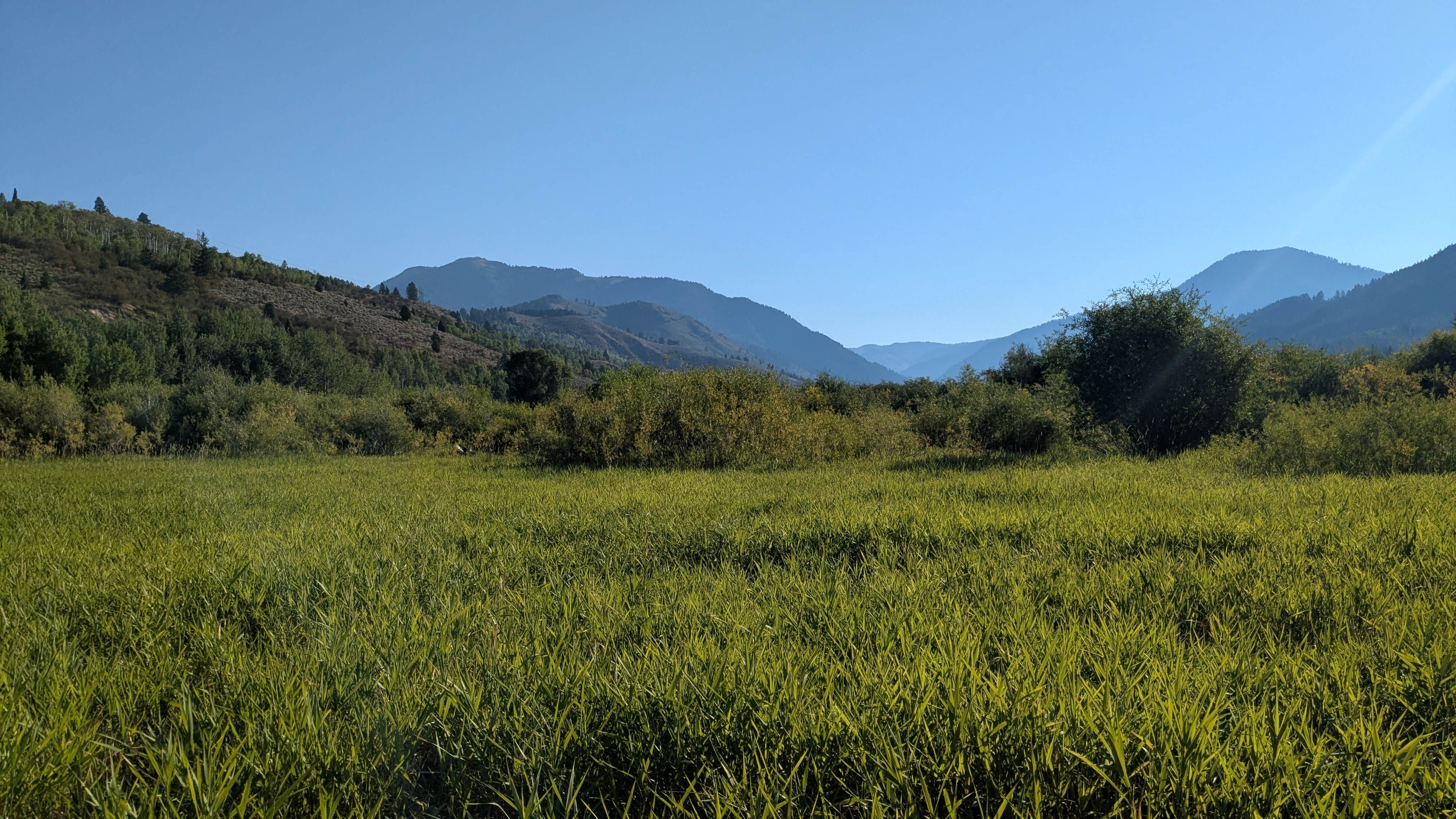 Camper-submitted photo at Indian Creek near Alpine, WY