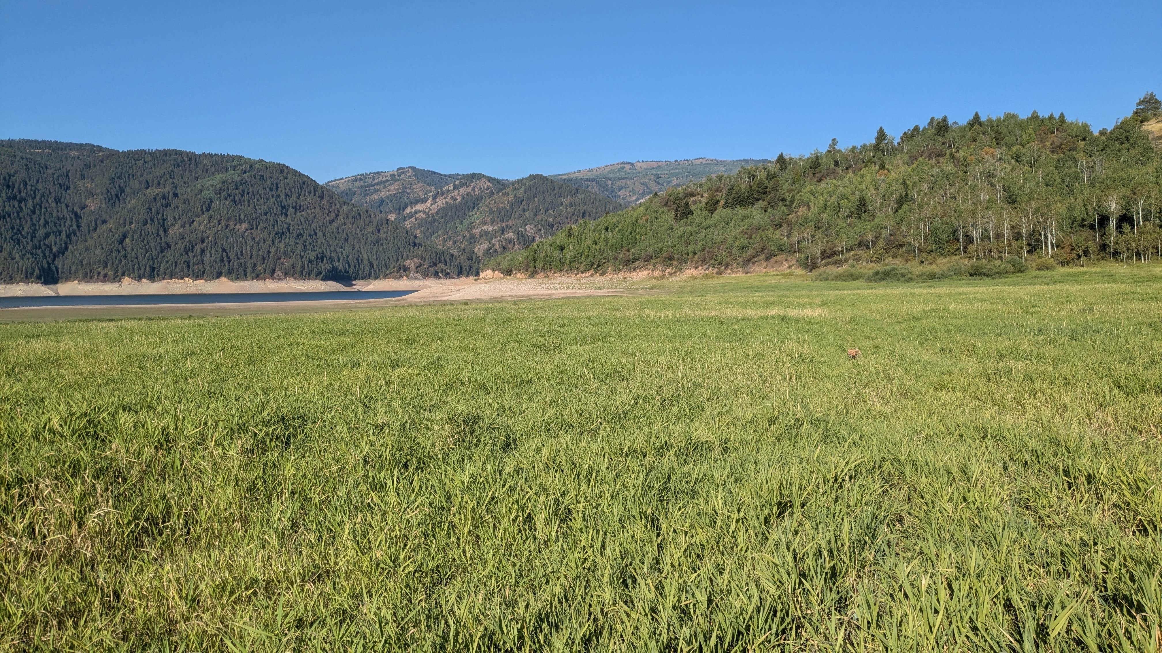 Camper-submitted photo at Indian Creek near Alpine, WY
