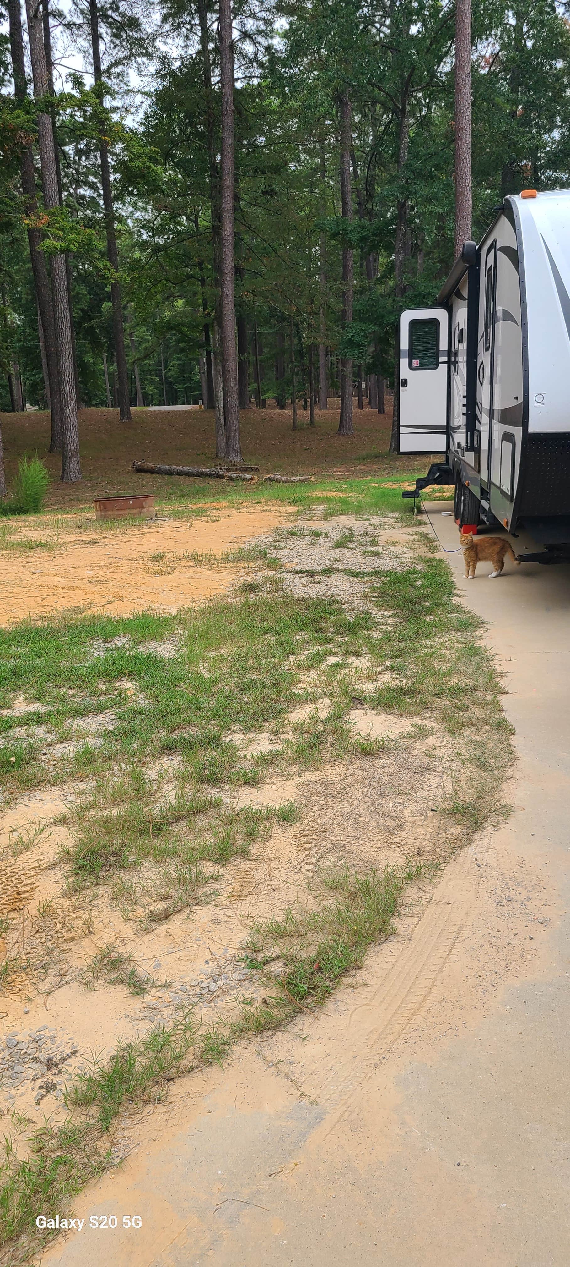 Camper-submitted photo at Indian Creek Recreation Area Best Camping Spot near Pineville, LA