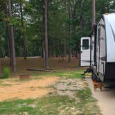 Review photo of Indian Creek Recreation Area Best Camping Spot by Cat R., September 20, 2023