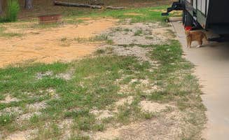 Cat R.'s photo at Indian Creek Recreation Area Best Camping Spot near Rhinehart, LA