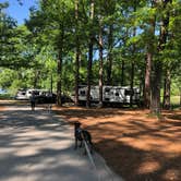 Review photo of Indian Creek Recreation Area Best Camping Spot by Charles  P., April 5, 2025