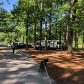Review photo of Indian Creek Recreation Area Best Camping Spot by Charles  P., April 5, 2025