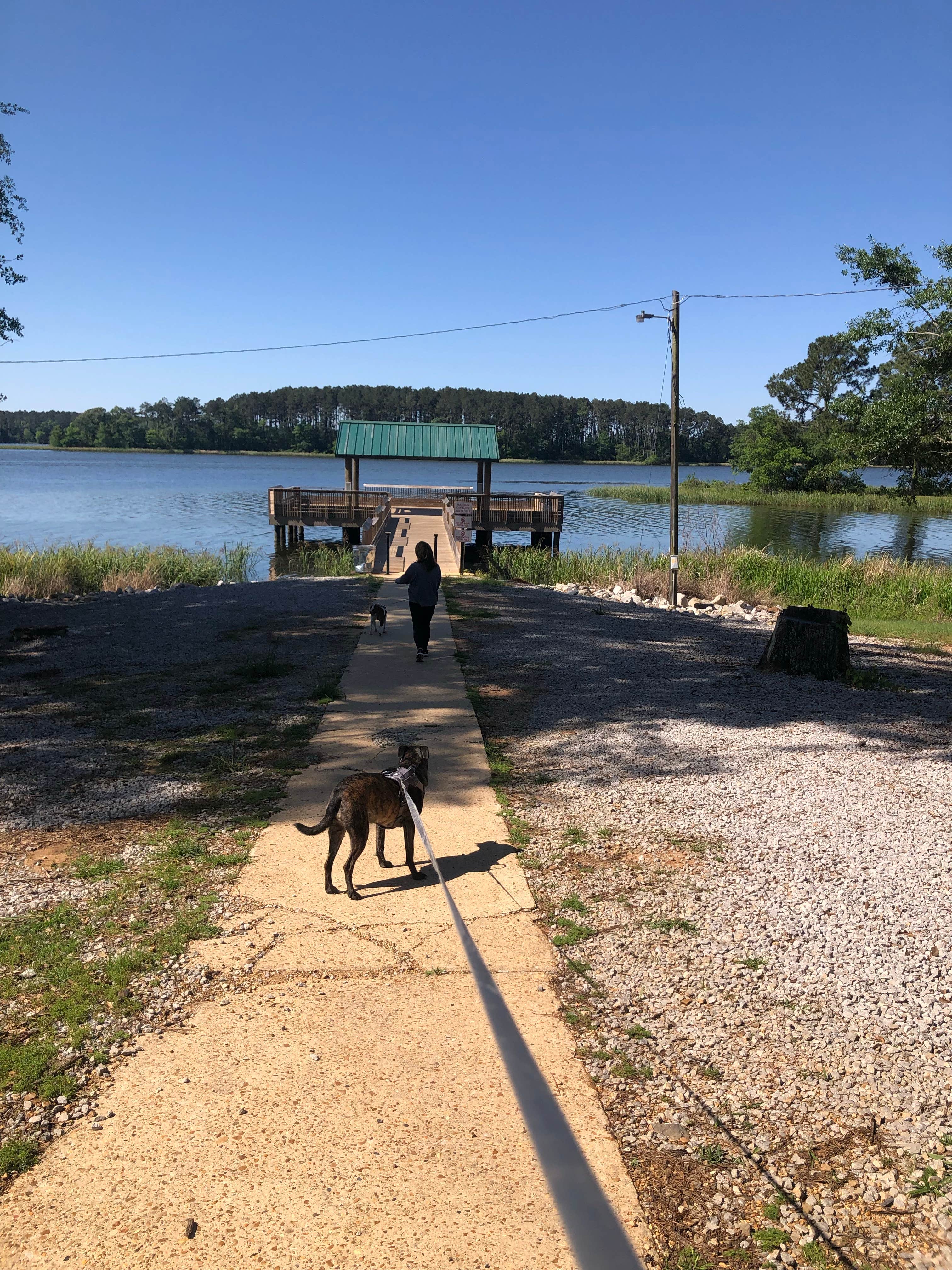Charles  P.'s photo of camping with pets at Indian Creek Recreation Area Best Camping Spot near Marksville, LA